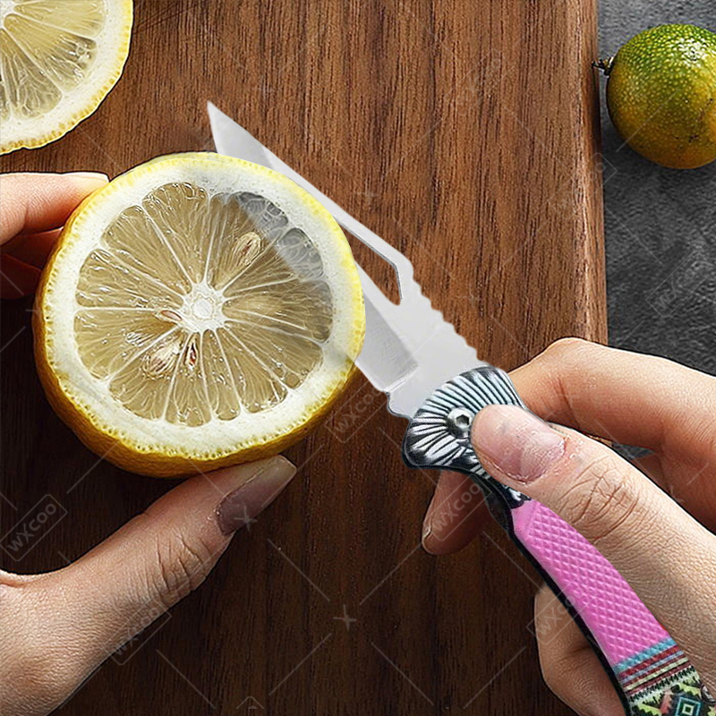 WXCOO Folding Knife Stainless  - đánh giá và giá Kitchen Gadgets And Equipment