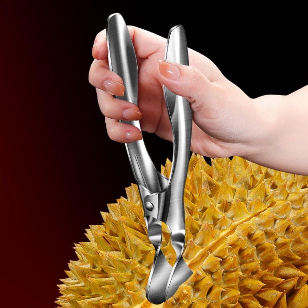 304 Stainless Steel Durian She - đánh giá và giá Kitchen Gadgets Built In
